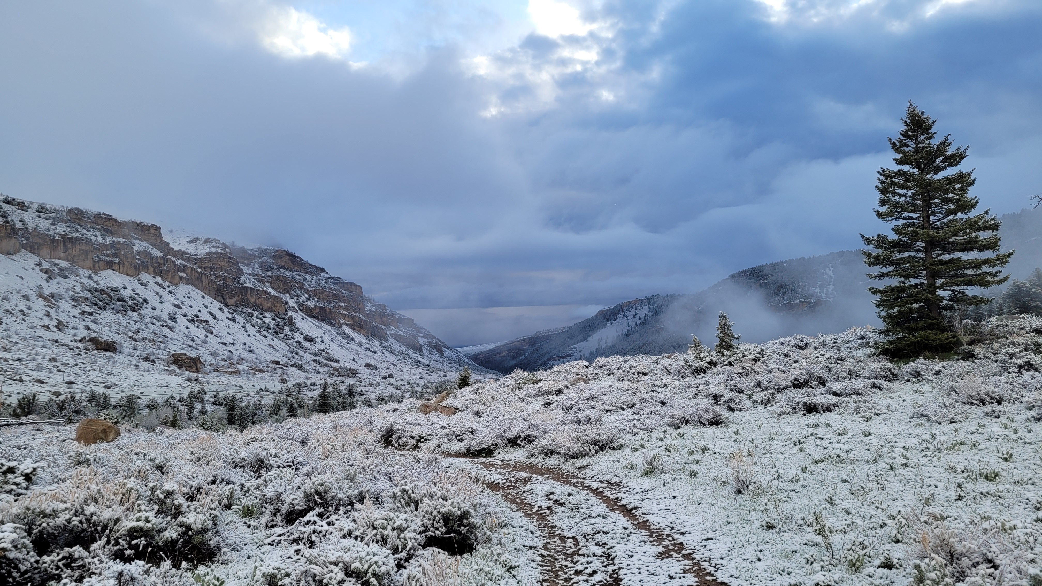 Snowy morning in Sinks Canyon