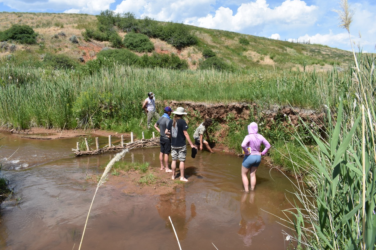 Five people stand in a shallow stream surrounded by lush greenery and hills. They are constructing a small wooden barrier. The mood is cooperative and relaxed.