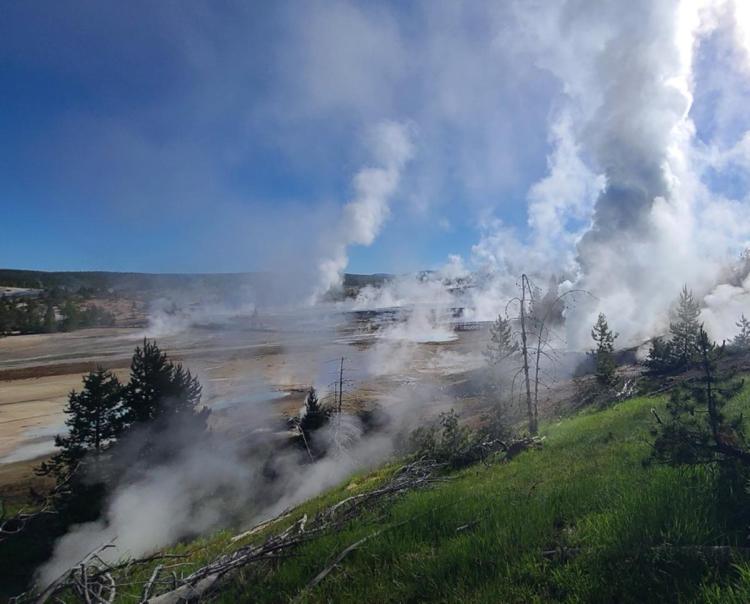 Steam rises from geysers amid a lush green landscape under a bright blue sky. Trees dot the area, and sunlight filters through the mist, creating an ethereal scene.
