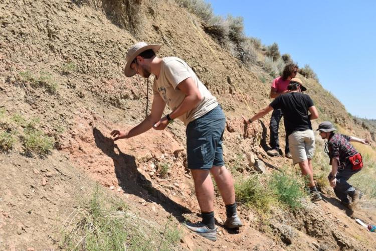 Four people are examining a dirt hillside under a clear blue sky. They seem focused, engaged in geological or archaeological work. Casual outdoor attire.